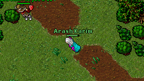 Arash Karim on screen
