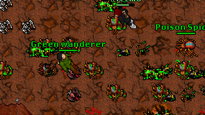Green wanderer on screen