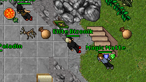 Elite Bizonik on screen