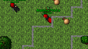 Ambox Mata on screen