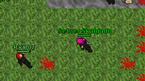 Setzer Skaldado on screen