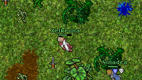 Xelkrona on screen