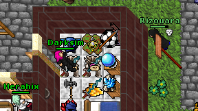 Darksim on screen