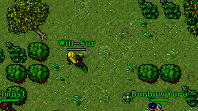 Will-Sor on screen