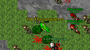 Tim The Conquerer on screen