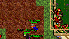 Nyclaes on screen