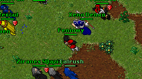 Feniowy on screen