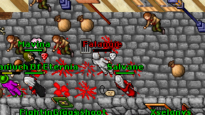 Falangie on screen