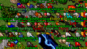 Hofft on screen