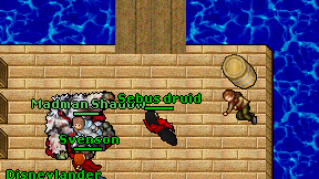 Sebus druid on screen