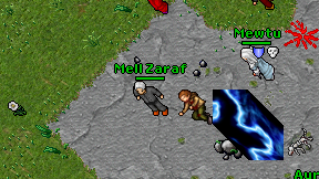 Mell Zaraf on screen