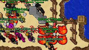 Intact Mage on screen