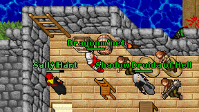 Dragonm'net on screen