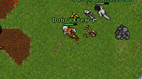 Dobra Krew on screen
