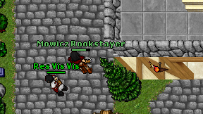 Mowicz Rookstayer on screen