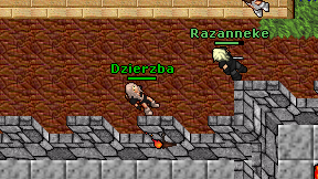 Dzierzba on screen