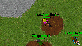 Master Tutz on screen