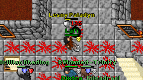 Lesny Paladyn on screen