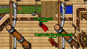 Fast'molt on screen