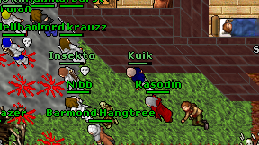 Kuik on screen