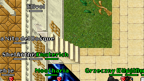 Elivol on screen