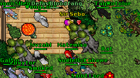 Sir Sebo on screen