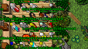Eternal Guardian on screen