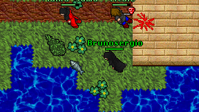 Brunosergio on screen