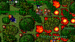 Insane'Wolf on screen