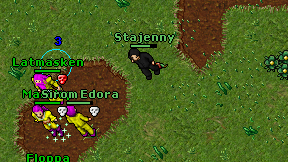 Stajenny on screen