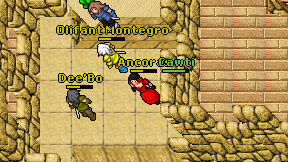 Ancoras on screen