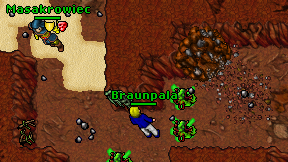 Braunpala on screen
