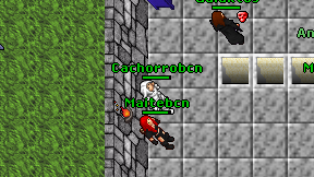 Cachorrobcn on screen