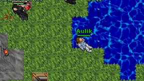 Aulik on screen