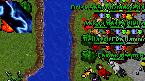 Femax mage on screen