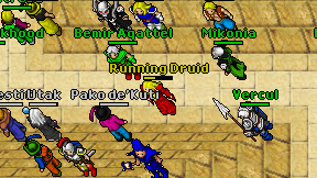 Running Druid on screen