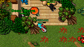 Numax on screen