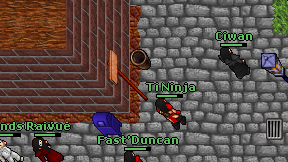 Ti Ninja on screen