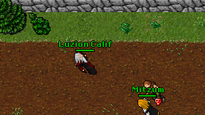 Luzion Calif on screen