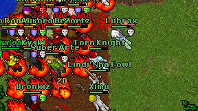 Torn Knight on screen