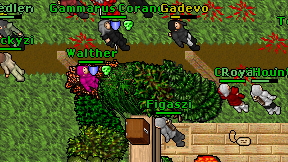 Figaszi on screen