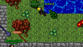 Jonit on nova on screen