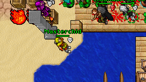 Masterchid on screen