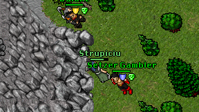 Strupiciu on screen