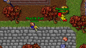 Matik Pal on screen