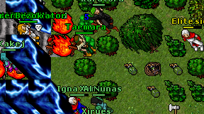 Taemara on screen