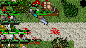 Orphidos on screen