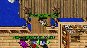 Drudden Druid on screen