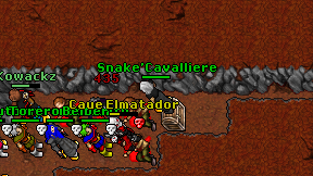 Snake'Cavalliere on screen