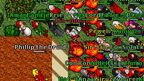 Kin-gorila on screen